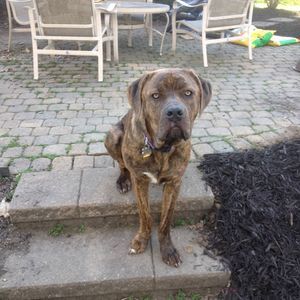 Meet your Posher, Andrew